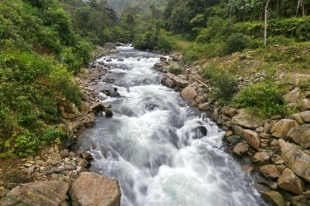 Imagen los cedros